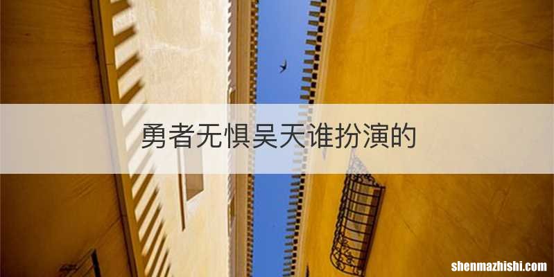 勇者无惧吴天谁扮演的