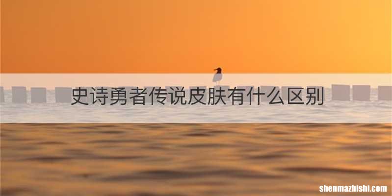 史诗勇者传说皮肤有什么区别