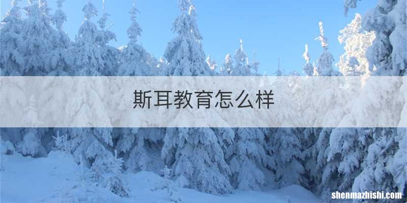 斯耳教育怎么样