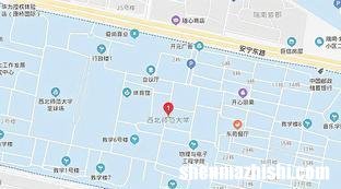 球鞋推荐学生党100左右