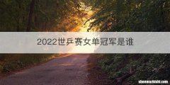 2022世乒赛女单冠军是谁