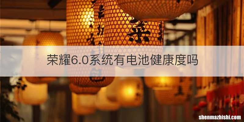 荣耀6.0系统有电池健康度吗
