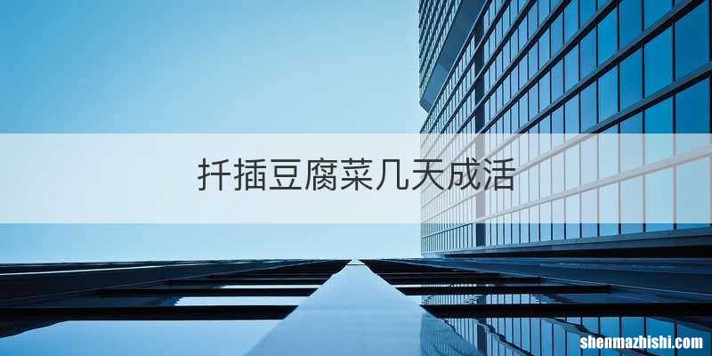 扦插豆腐菜几天成活