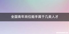 全国青年岗位能手属于几类人才