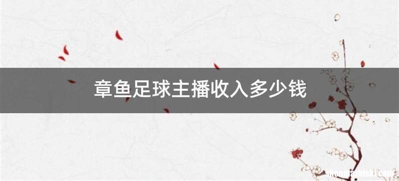 章鱼足球主播收入多少钱