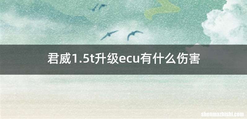 君威1.5t升级ecu有什么伤害