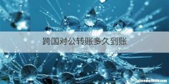跨国对公转账多久到账