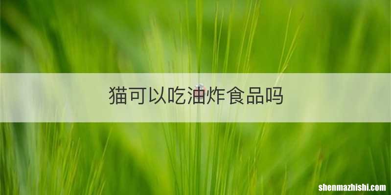 猫可以吃油炸食品吗