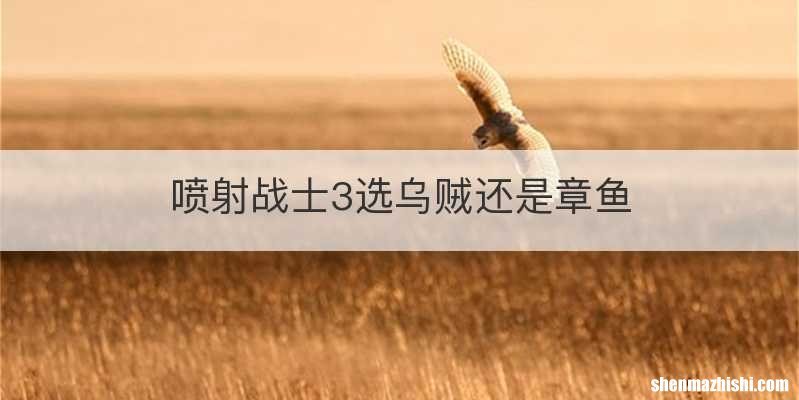 喷射战士3选乌贼还是章鱼