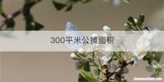 300平米公摊面积