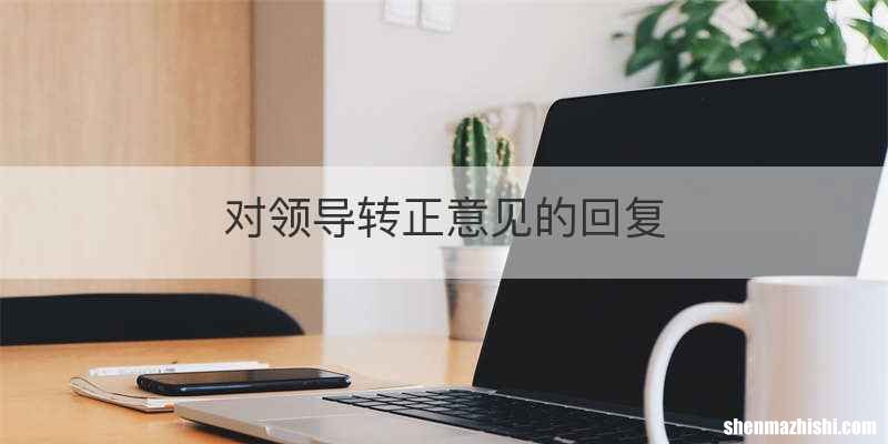 对领导转正意见的回复