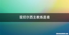现切尔西主教练是谁