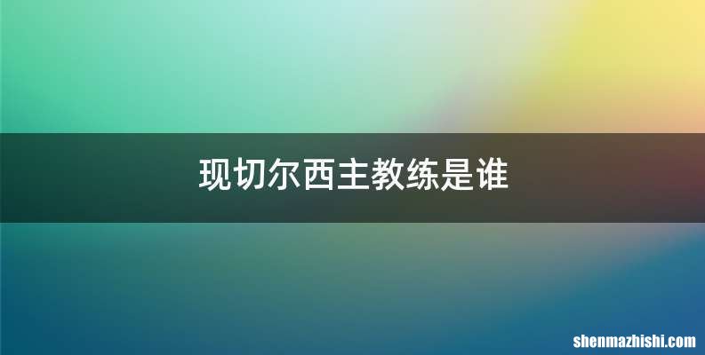 现切尔西主教练是谁