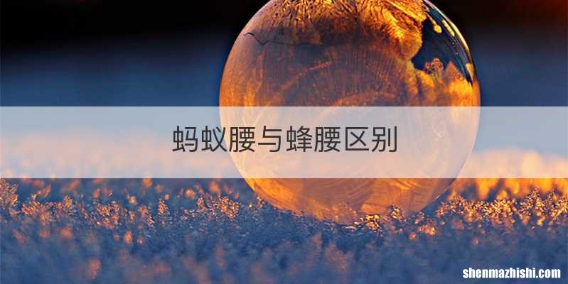 蚂蚁腰与蜂腰区别