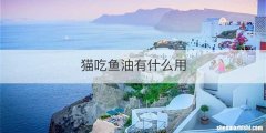 猫吃鱼油有什么用