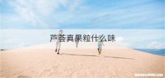 芦荟真果粒什么味
