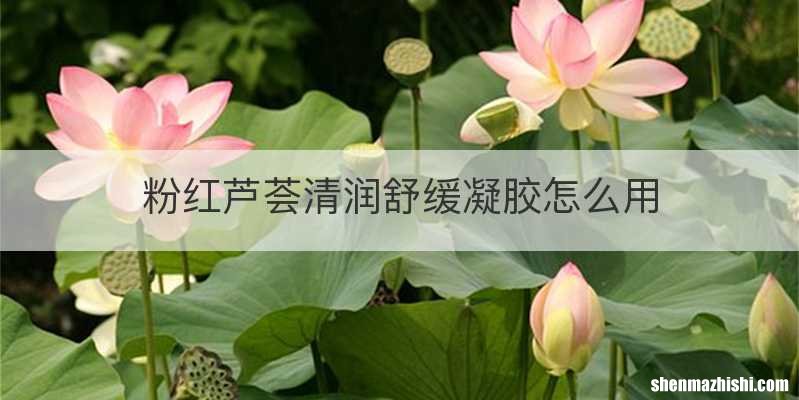 粉红芦荟清润舒缓凝胶怎么用