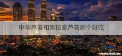 中华芦荟和库拉索芦荟哪个好吃