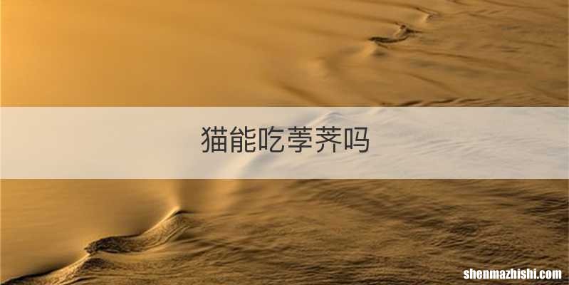 猫能吃荸荠吗