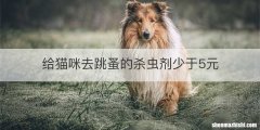 给猫咪去跳蚤的杀虫剂少于5元