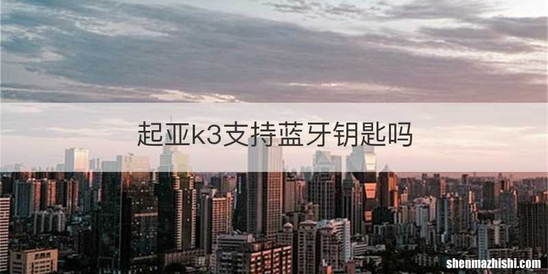 起亚k3支持蓝牙钥匙吗