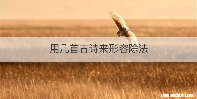 用几首古诗来形容除法