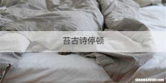 苔古诗停顿