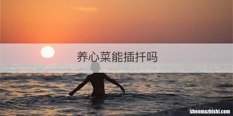 养心菜能插扦吗