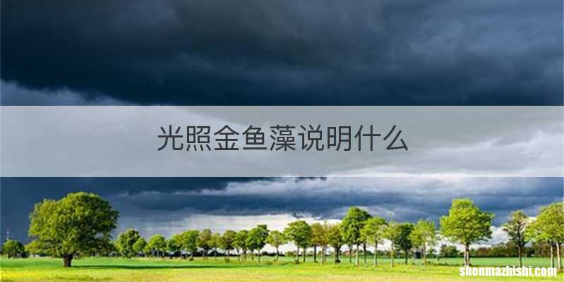 光照金鱼藻说明什么