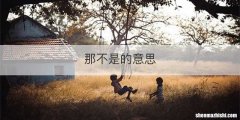 那不是的意思