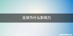 足球为什么影响力