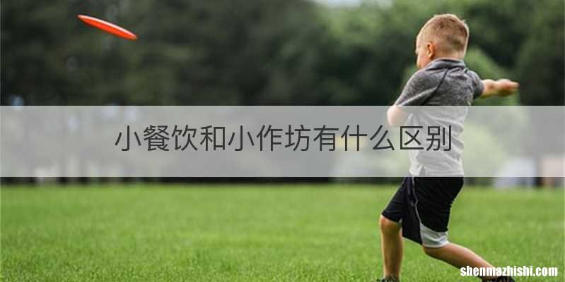 小餐饮和小作坊有什么区别