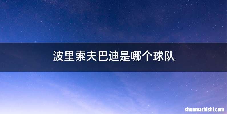 波里索夫巴迪是哪个球队