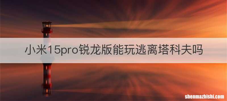 小米15pro锐龙版能玩逃离塔科夫吗