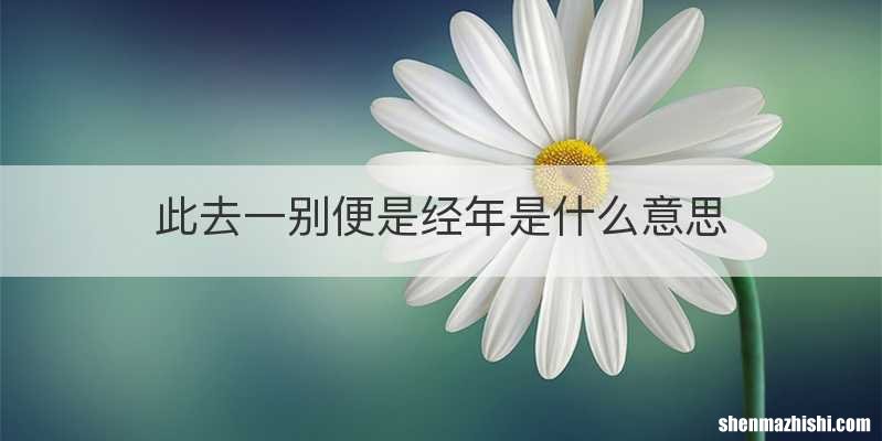此去一别便是经年是什么意思