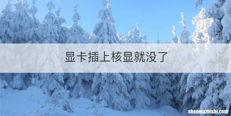 显卡插上核显就没了