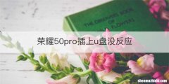 荣耀50pro插上u盘没反应