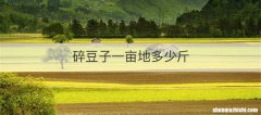 碎豆子一亩地多少斤