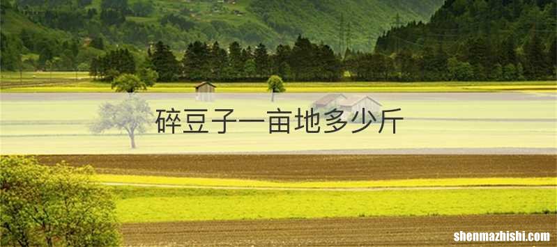 碎豆子一亩地多少斤