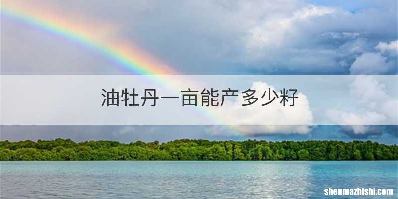 油牡丹一亩能产多少籽