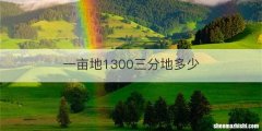 一亩地1300三分地多少