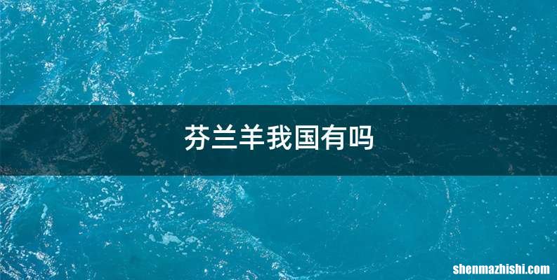 芬兰羊我国有吗