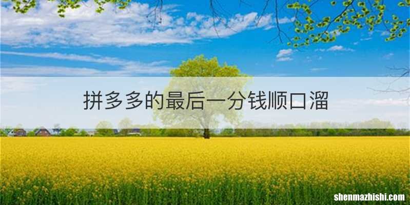 拼多多的最后一分钱顺口溜