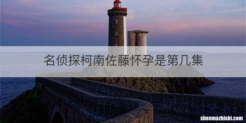 名侦探柯南佐藤怀孕是第几集