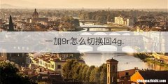 一加9r怎么切换回4g.