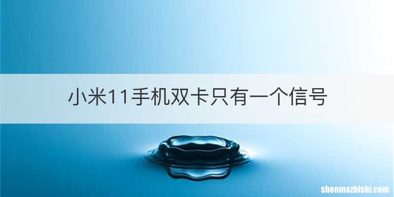 小米11手机双卡只有一个信号