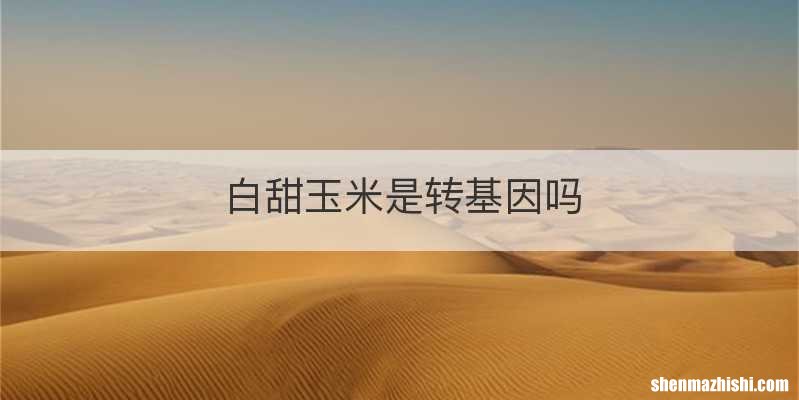 白甜玉米是转基因吗