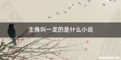 主角叫一龙的是什么小说