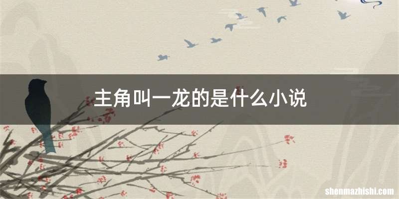 主角叫一龙的是什么小说