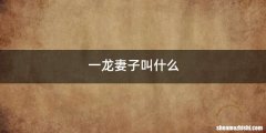 一龙妻子叫什么